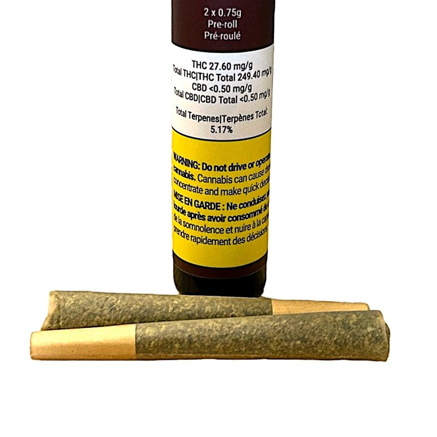 QUEEN OF THE TROPICS Pre-Rolls 2x0.75g (1.5g) / 12 CASE