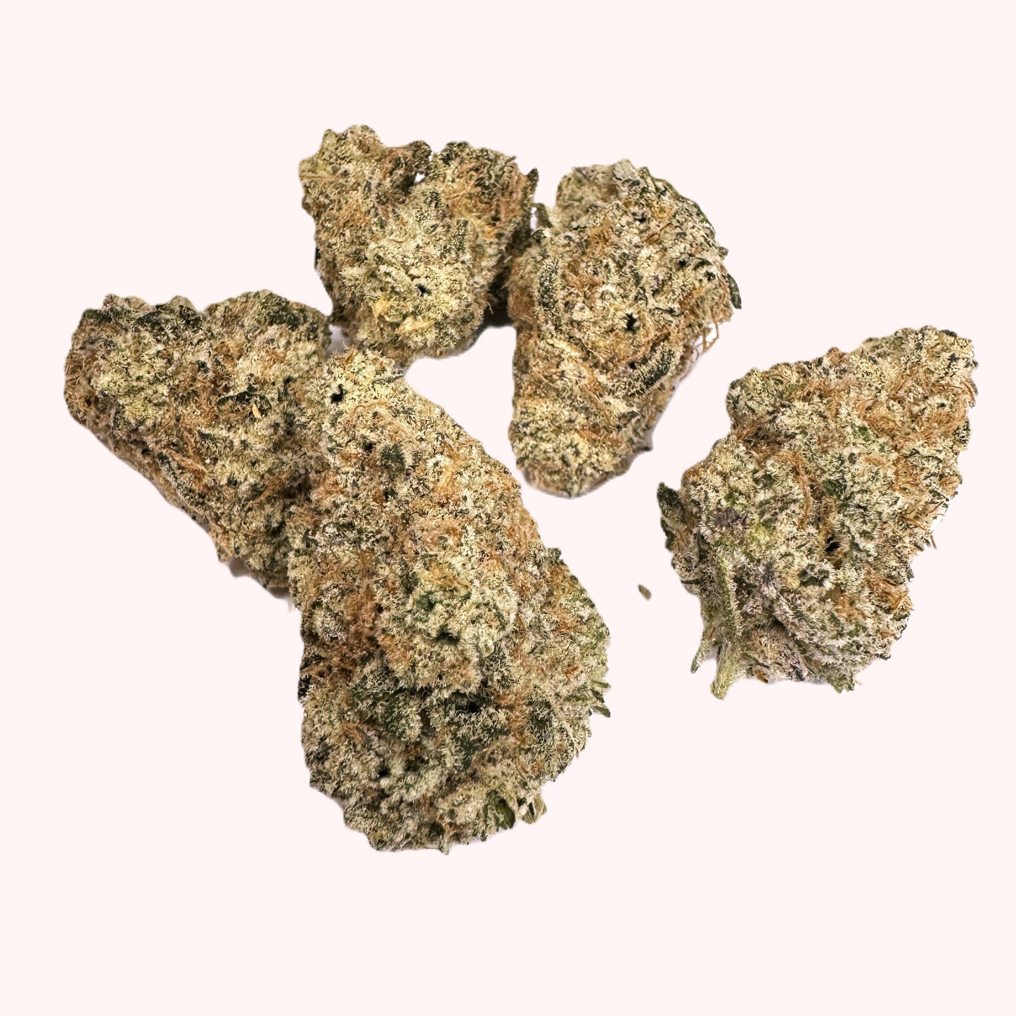 QUEEN OF THE TROPICS Pre-Rolls 2x0.75g (1.5g) / 12 CASE
