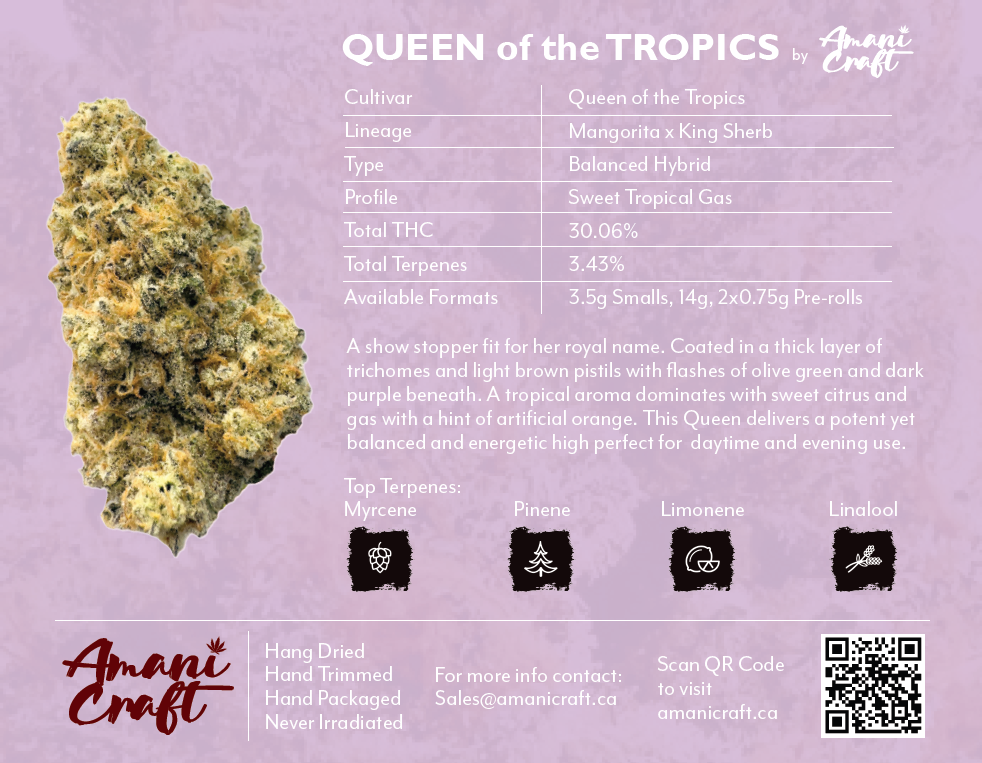 QUEEN OF THE TROPICS Pre-Rolls 2x0.75g (1.5g) / 12 CASE