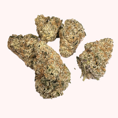 QUEEN OF THE TROPICS Pre-Rolls 2x0.75g (1.5g) / 12 CASE